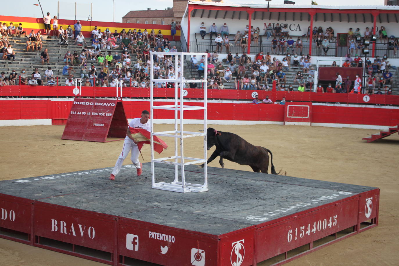 Fotos: La exhibición de bravura de las reses de Arriazu en la plaza de toros de Alfaro