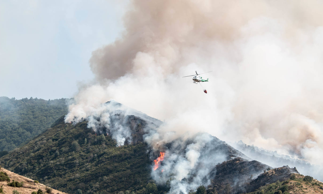 El fuego se ha originado en dos focos a las 13.30 horas de este sábado. 