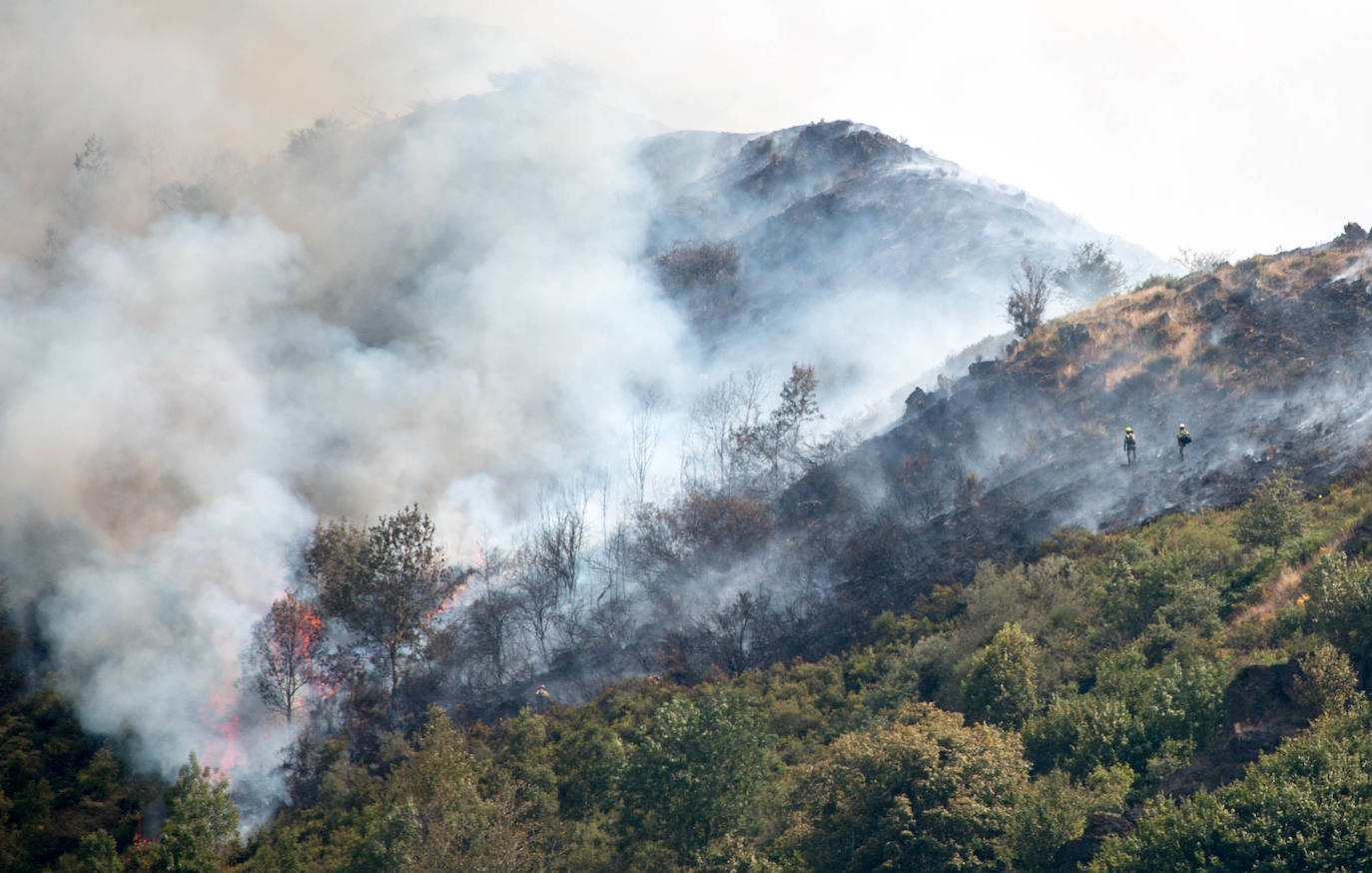 El fuego se ha originado en dos focos a las 13.30 horas de este sábado. 