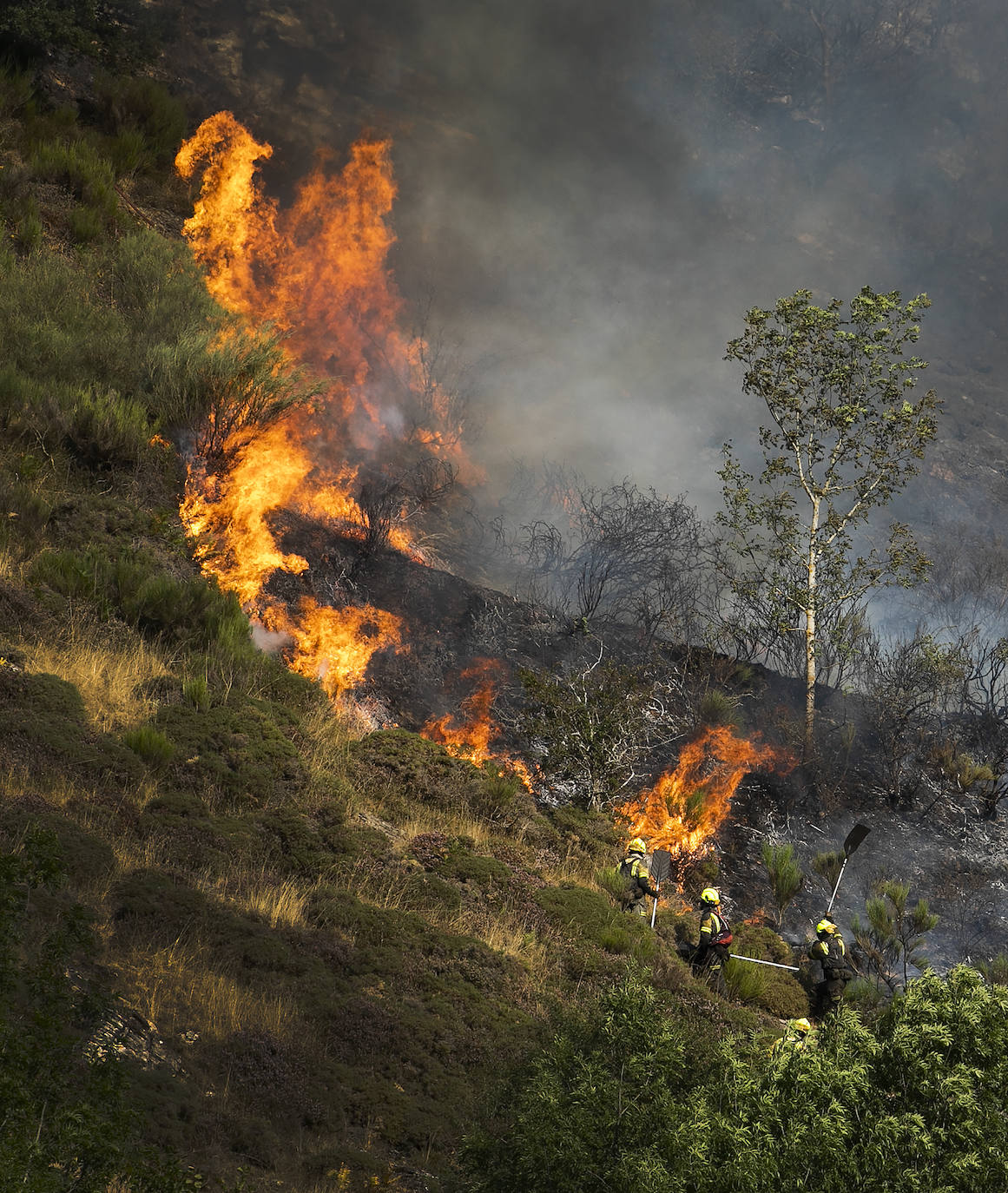 Las labores de extinción del incendio forestal de Ezcaray continuarán durante toda la noche del sábado al domingo y contarán con el apoyo de la UME