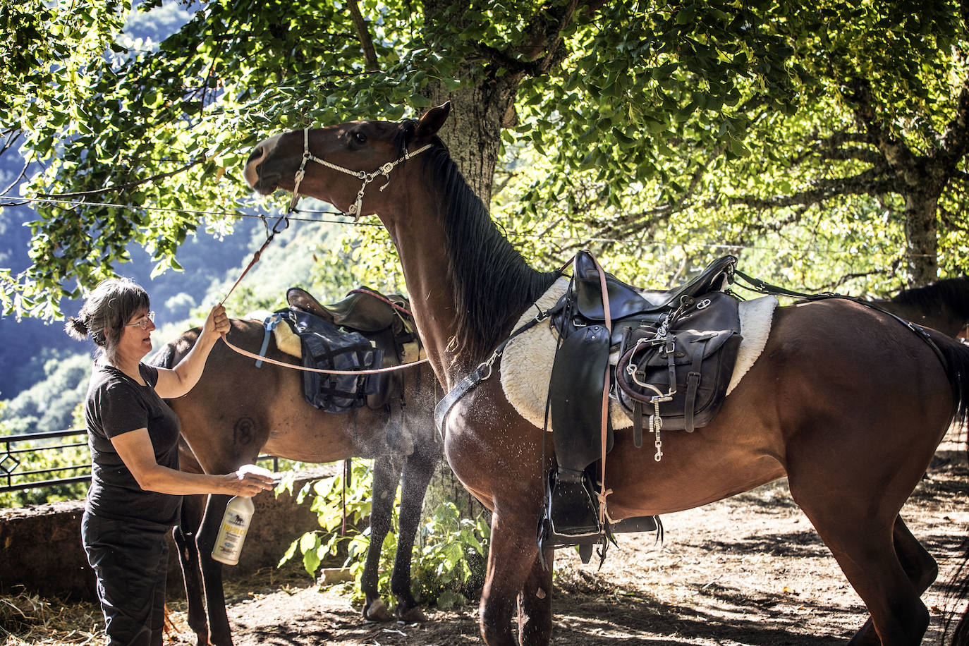 Fotos: Un tesoro por descubrir a lomos de un caballo