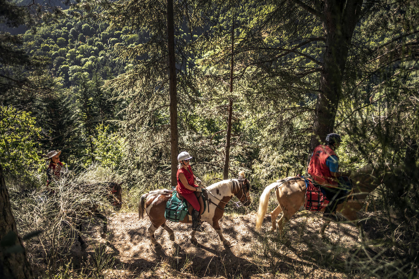 Fotos: Un tesoro por descubrir a lomos de un caballo