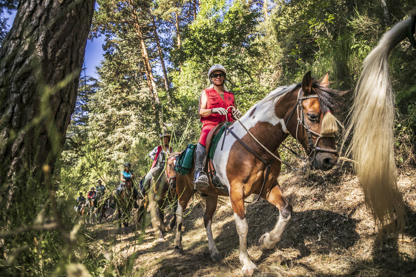 Fotos: Un tesoro por descubrir a lomos de un caballo