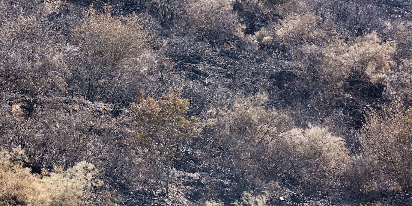 El incendio que se originó el sábado en Ezcaray ha sido declarado extinguido, aunque se mantiene la vigilancia para evitar que se reavive