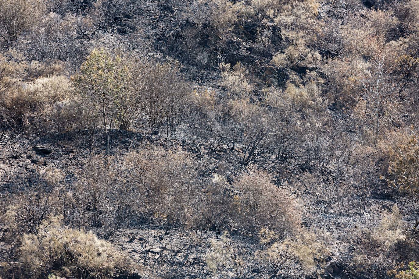 El incendio que se originó el sábado en Ezcaray ha sido declarado extinguido, aunque se mantiene la vigilancia para evitar que se reavive