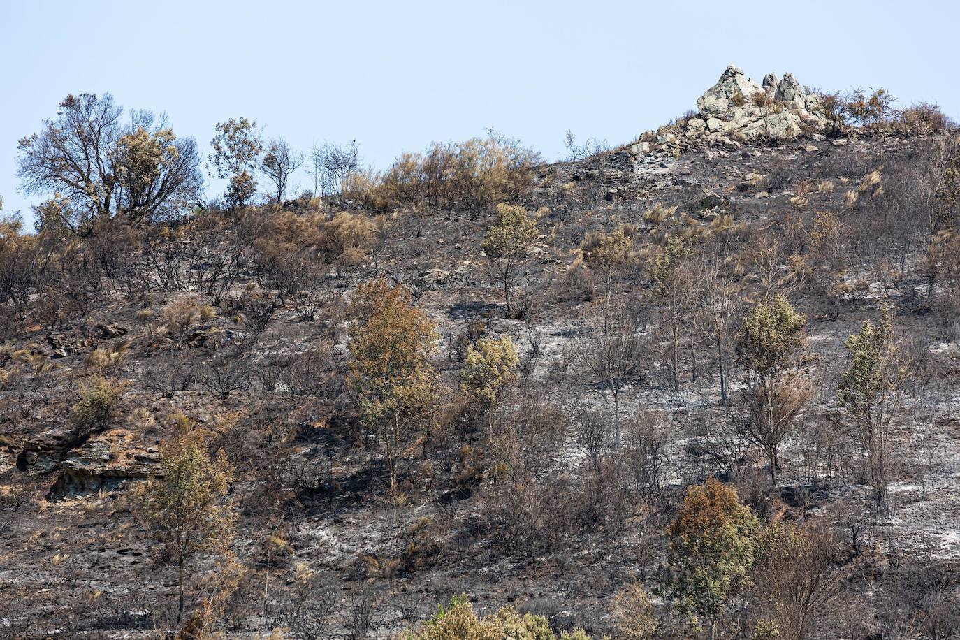 El incendio que se originó el sábado en Ezcaray ha sido declarado extinguido, aunque se mantiene la vigilancia para evitar que se reavive