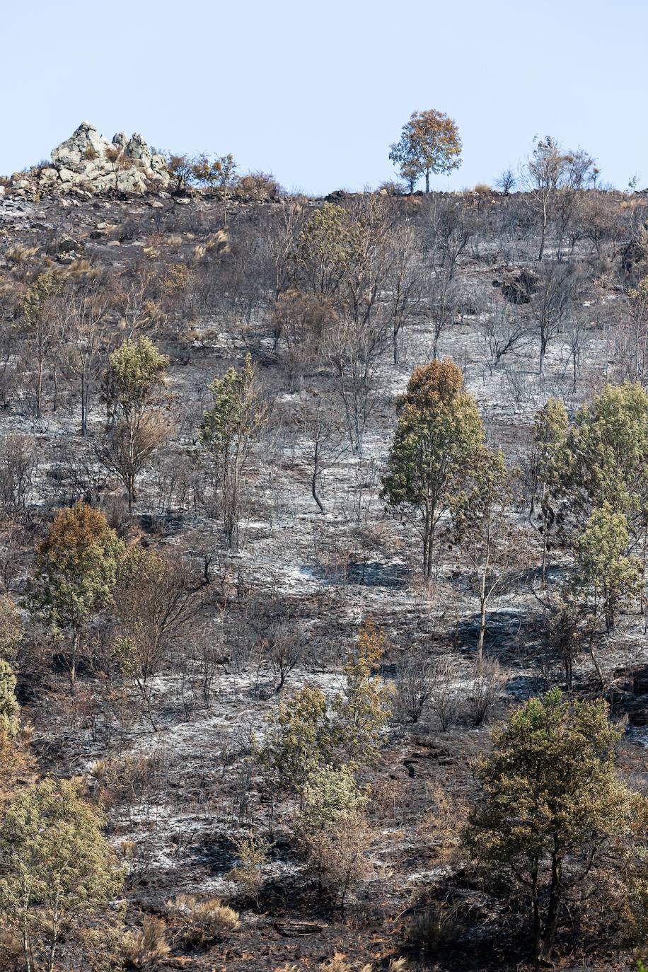 El incendio que se originó el sábado en Ezcaray ha sido declarado extinguido, aunque se mantiene la vigilancia para evitar que se reavive