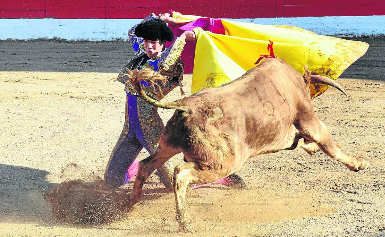 Cid de María recibiendo a portagayola al novillo al que cortó una oreja. 