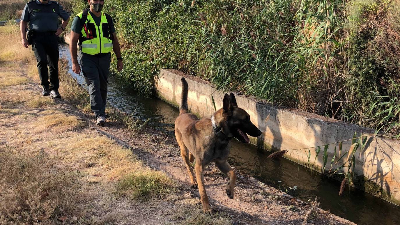 Fotos: La Guardia Civil continua con la búsqueda del desparecido en Entrena