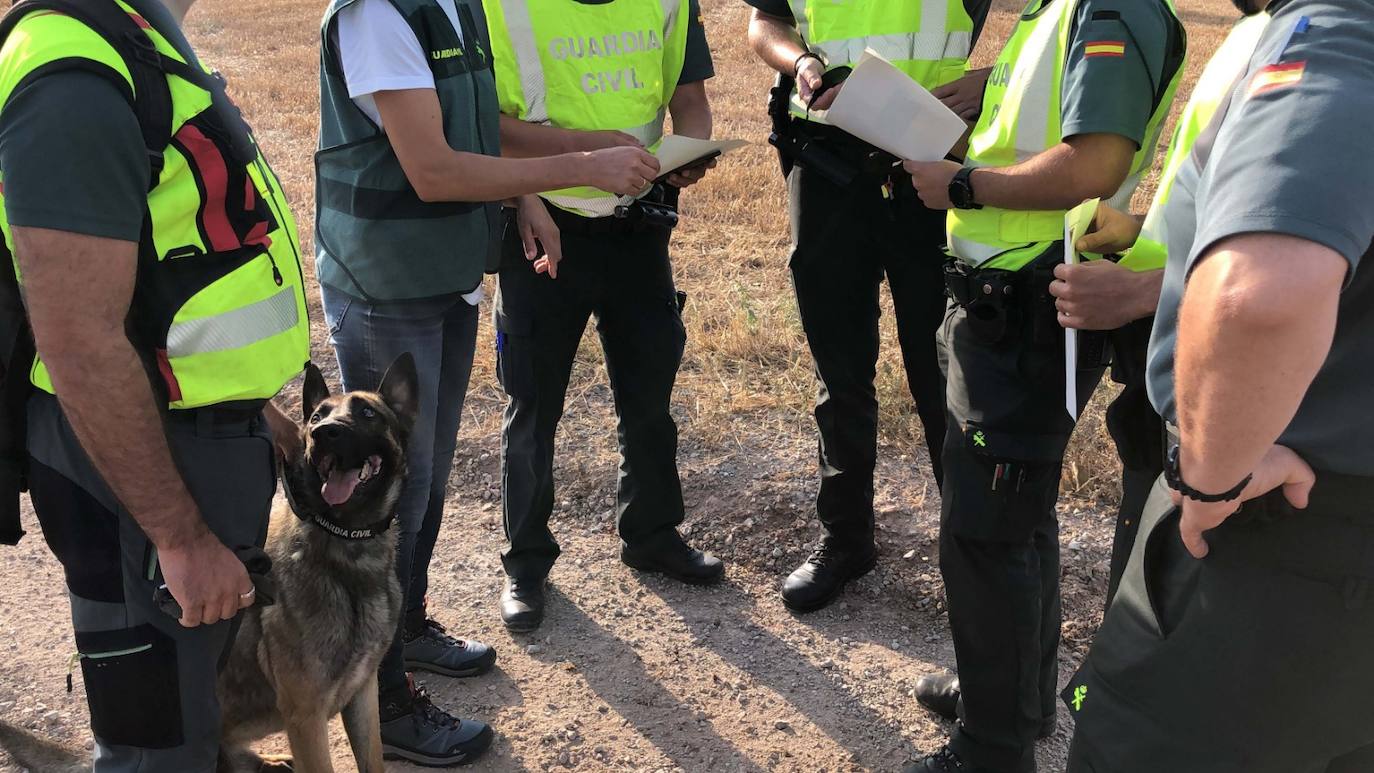 Fotos: La Guardia Civil continua con la búsqueda del desparecido en Entrena