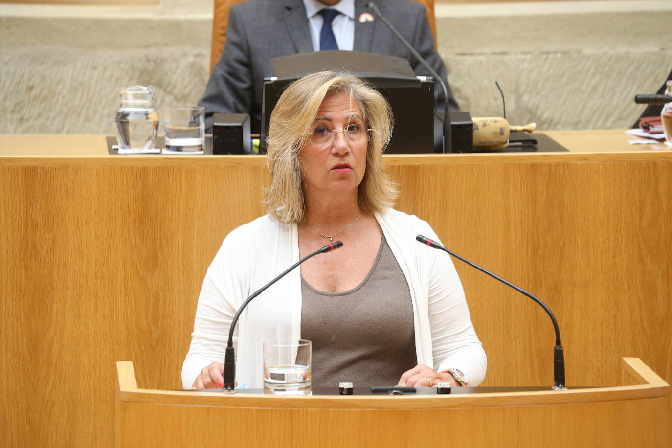 Fotos: El pleno del Parlamento, en imágenes