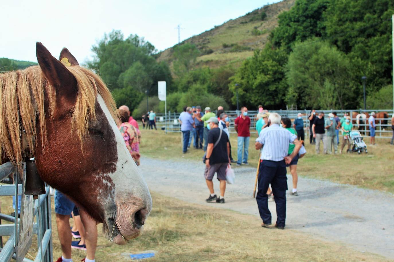 Fotos: Las imágenes de la feria ganadera de Villoslada