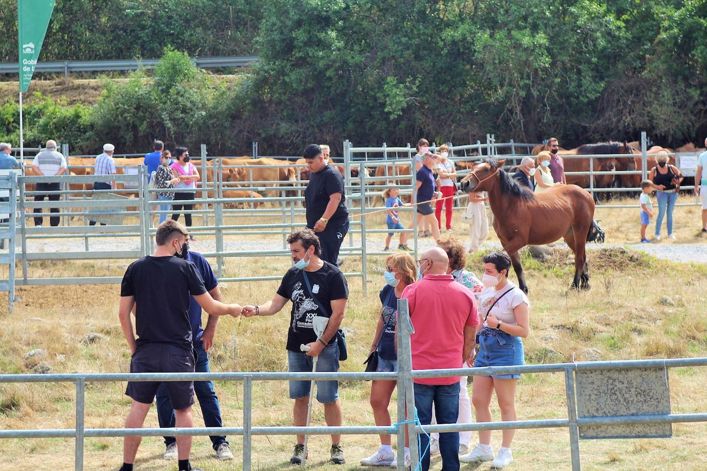 Fotos: Las imágenes de la feria ganadera de Villoslada