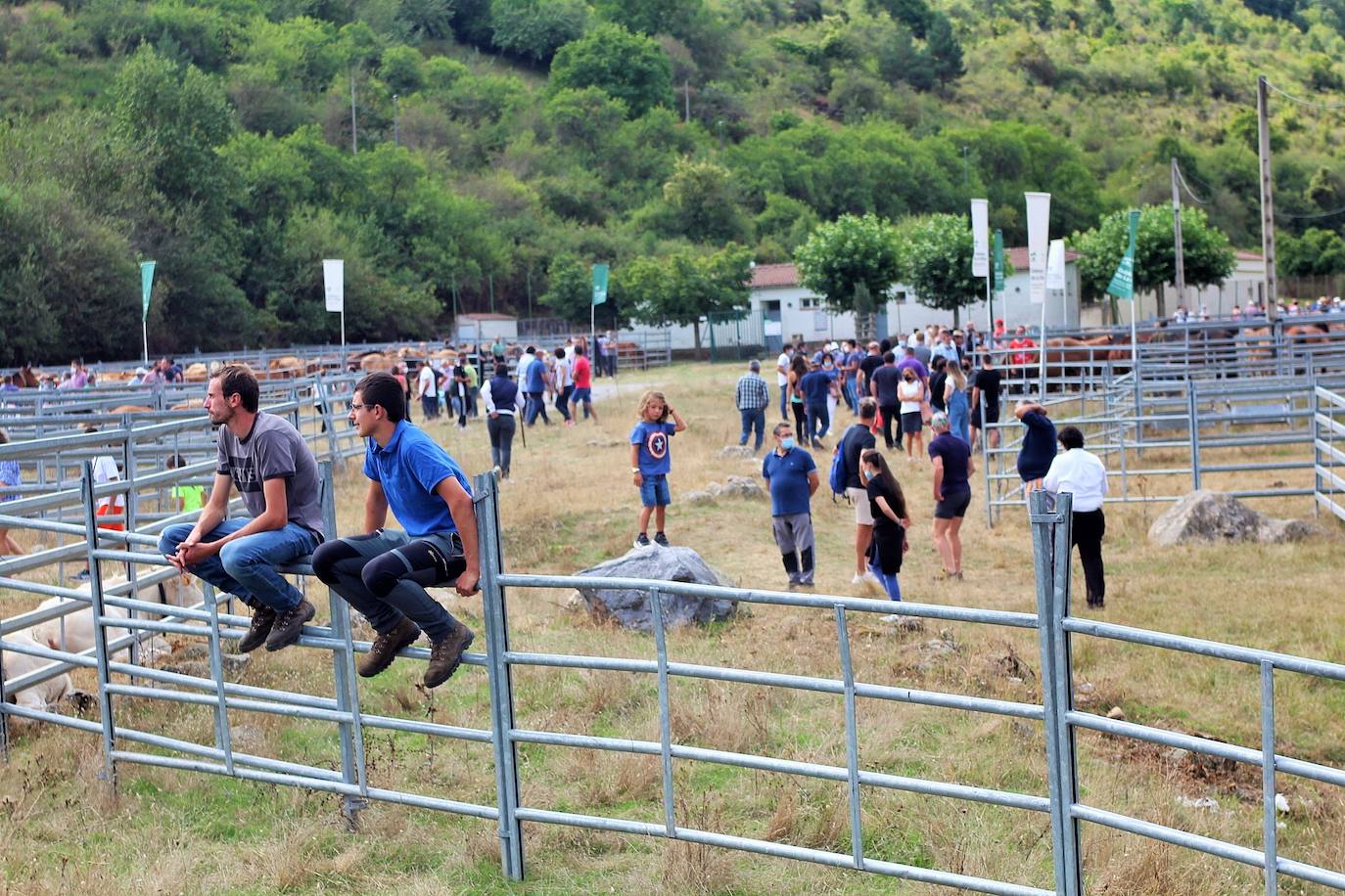 Fotos: Las imágenes de la feria ganadera de Villoslada