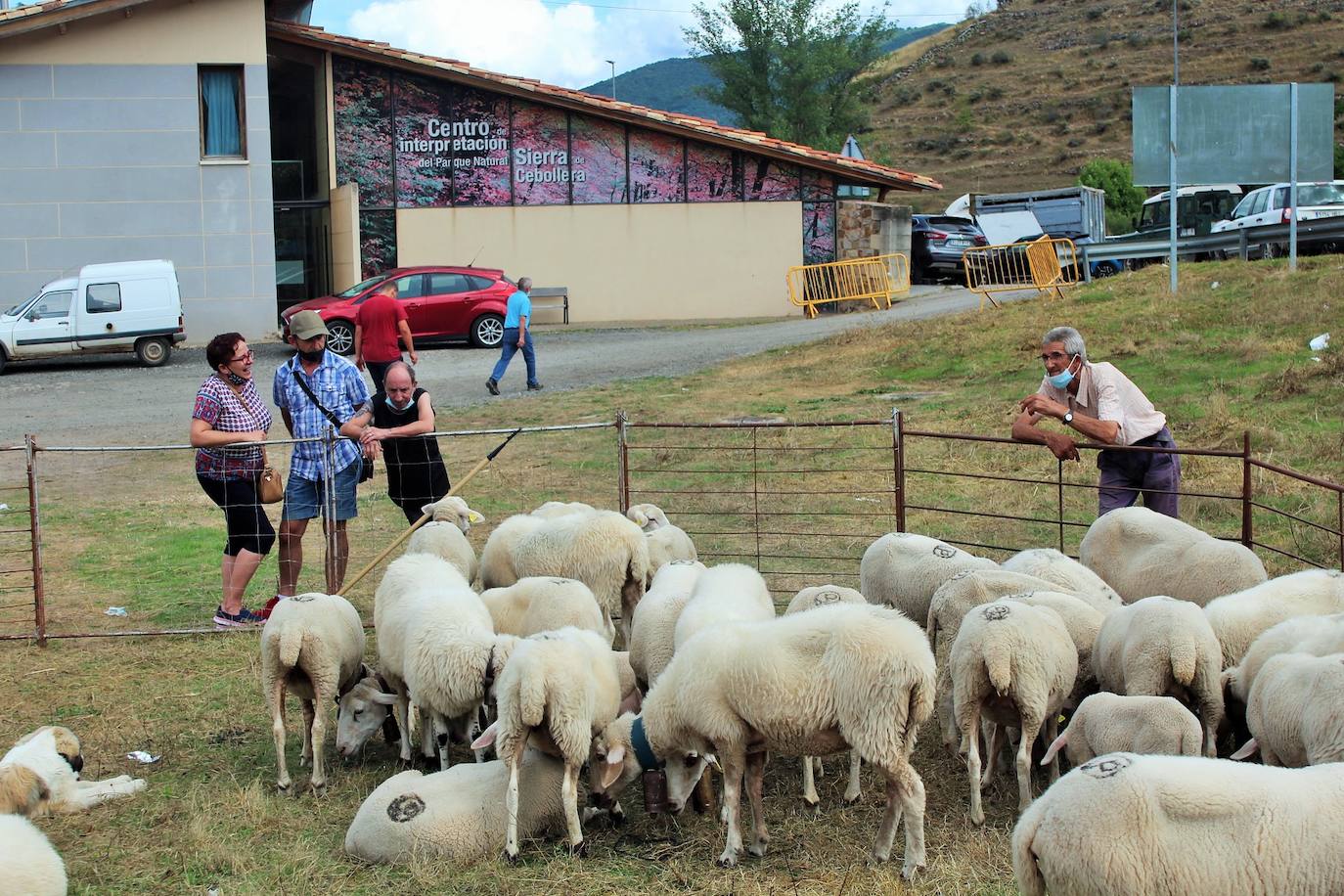 Fotos: Las imágenes de la feria ganadera de Villoslada