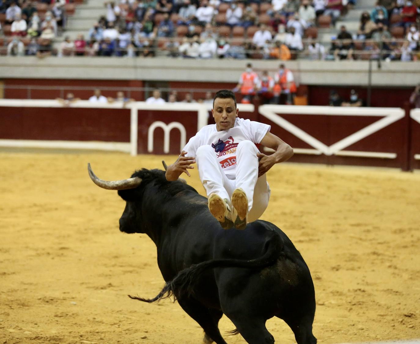 Los especialistas más prestigiosos de esta disciplina se han dado cita este sábado en La Ribera