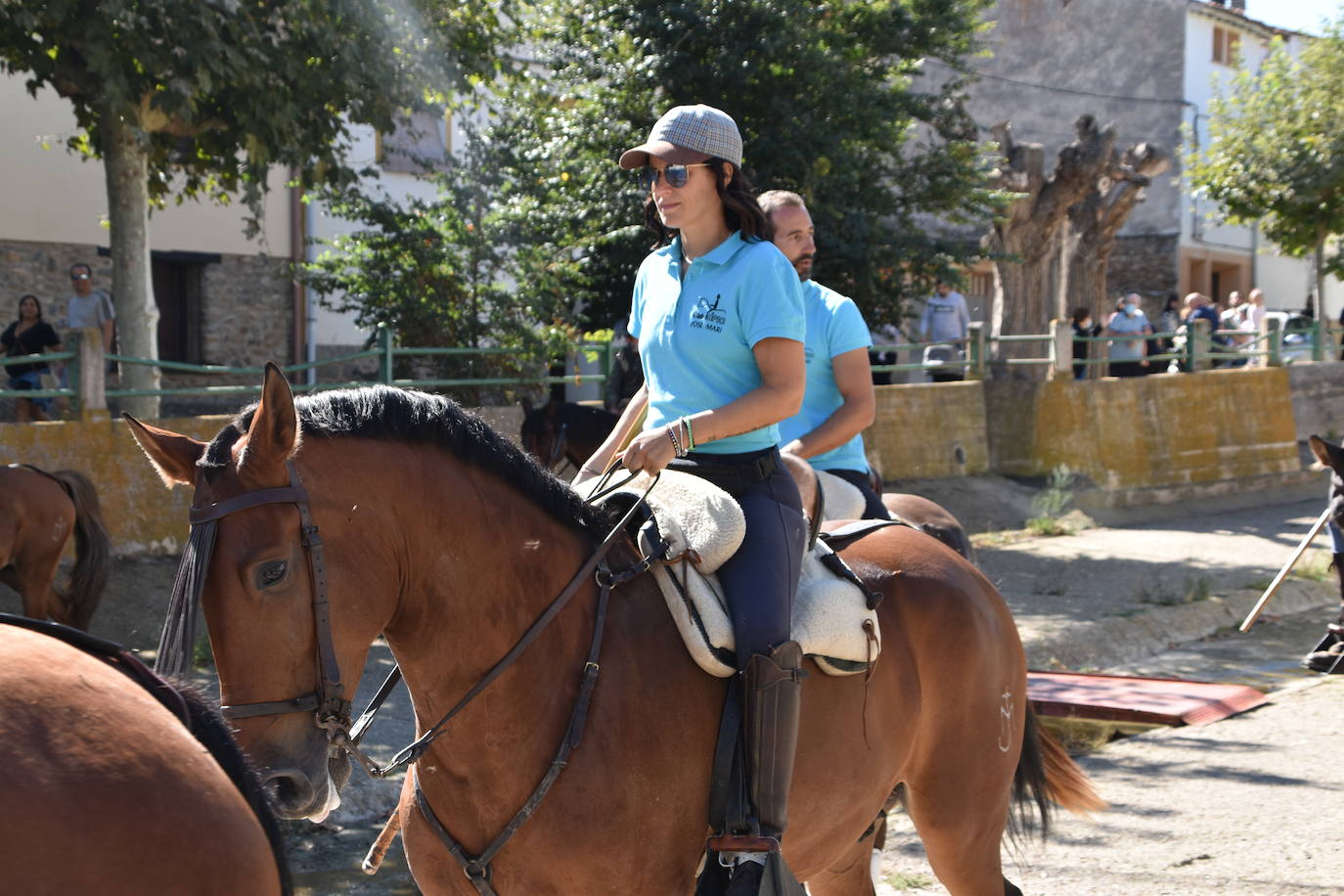 Fotos: La trashumancia se celebra en Rincón de Olivedo