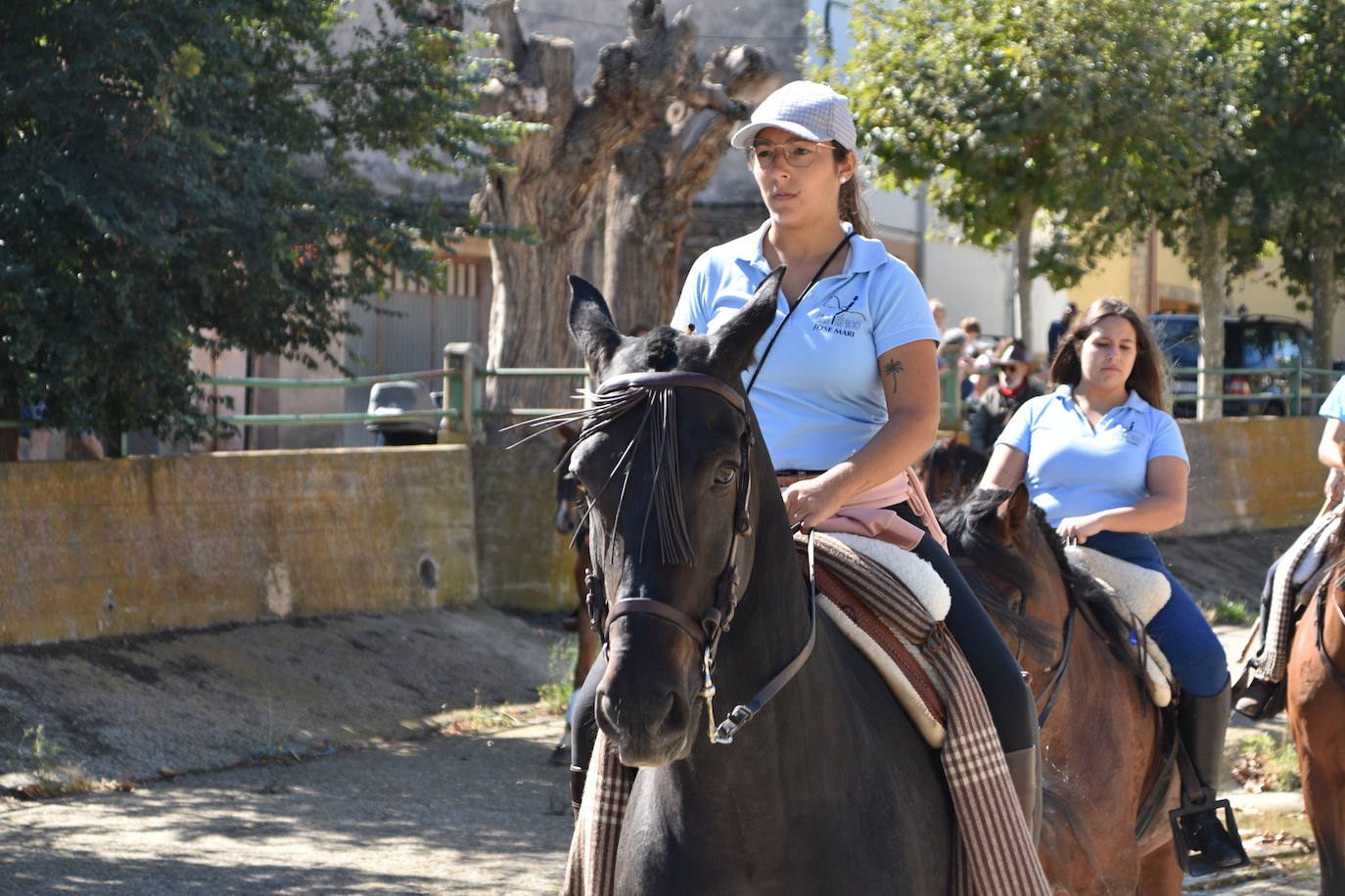 Fotos: La trashumancia se celebra en Rincón de Olivedo