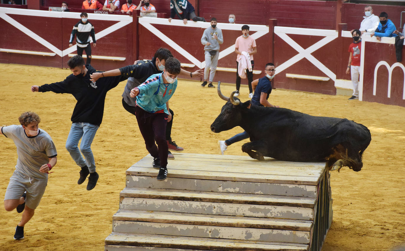 Las vaquillas regresan a Logroño en una suelta limpia y sin heridos