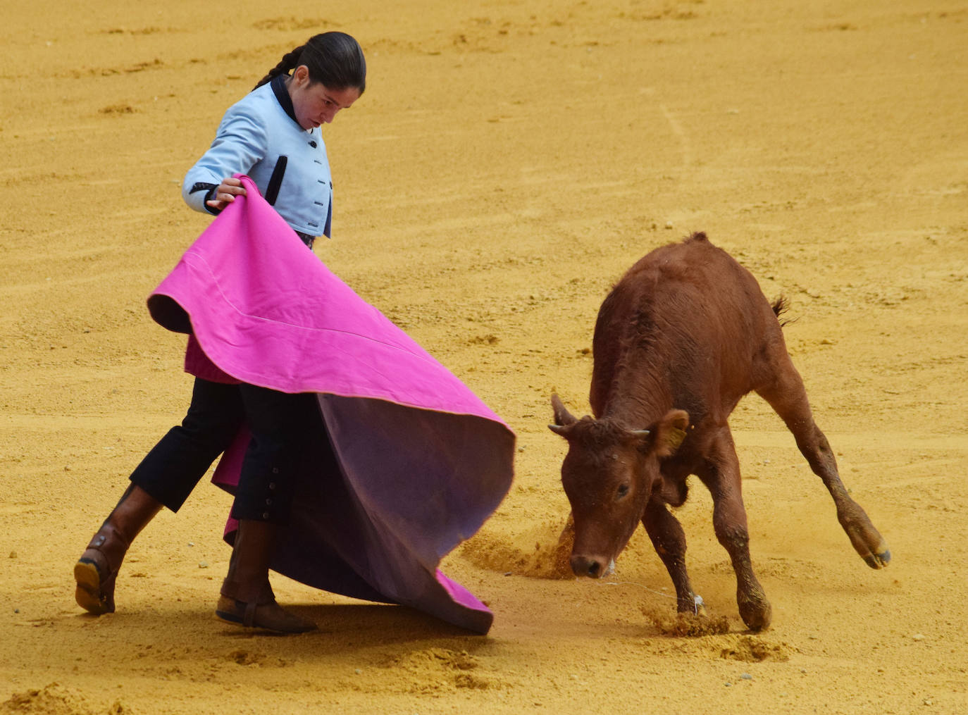 Las vaquillas regresan a Logroño en una suelta limpia y sin heridos