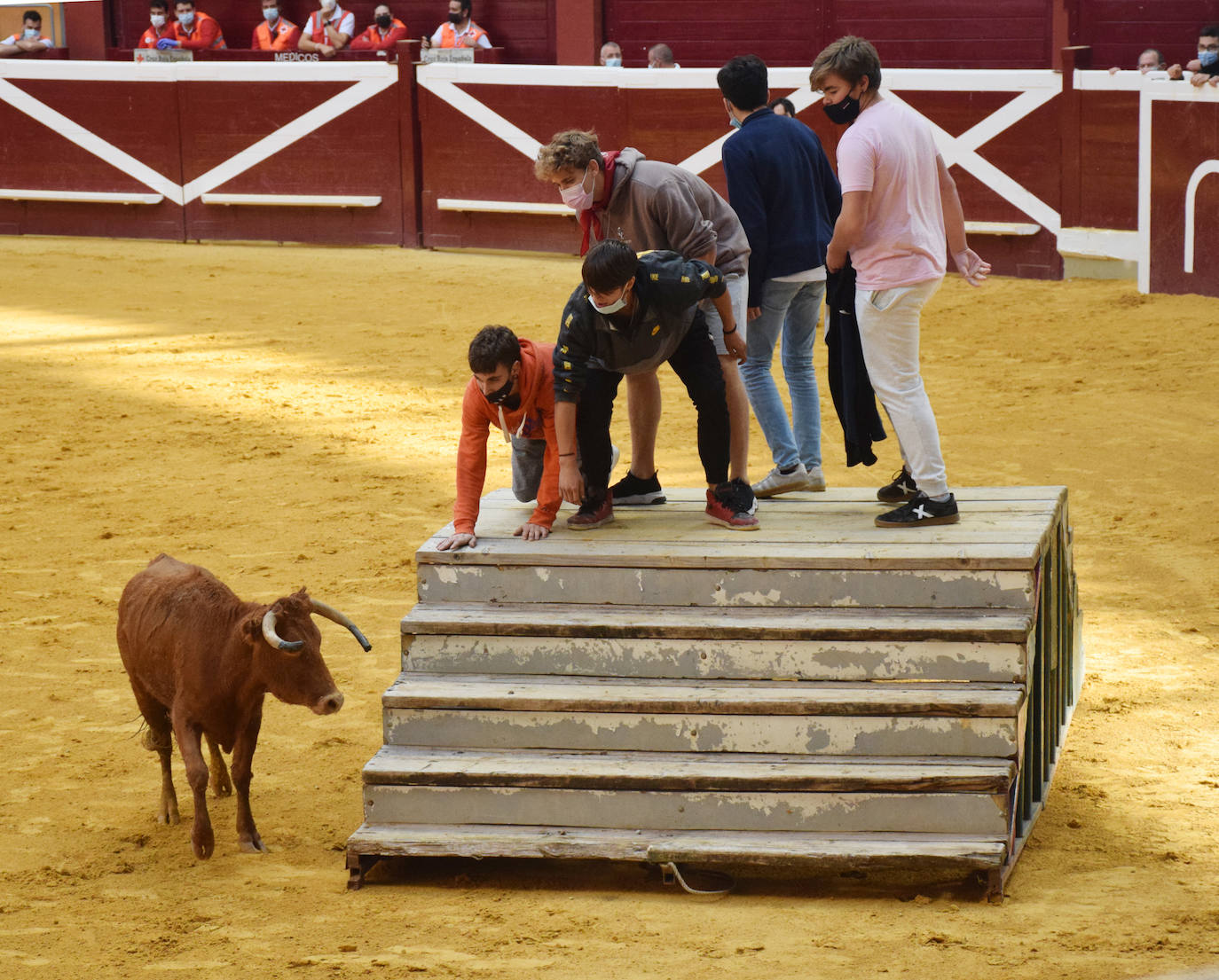 Las vaquillas regresan a Logroño en una suelta limpia y sin heridos