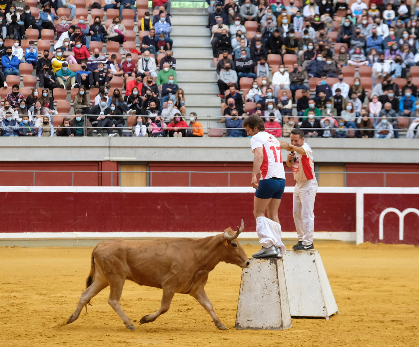 Fotos: Las vaquillas del martes en la Ribera