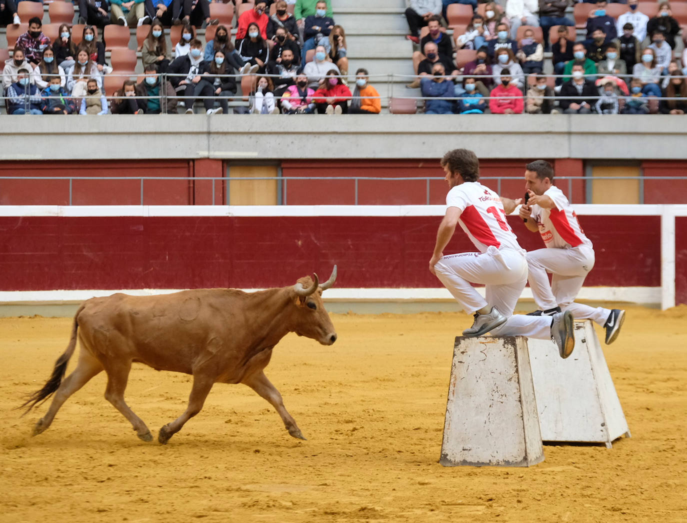 Fotos: Las vaquillas del martes en la Ribera