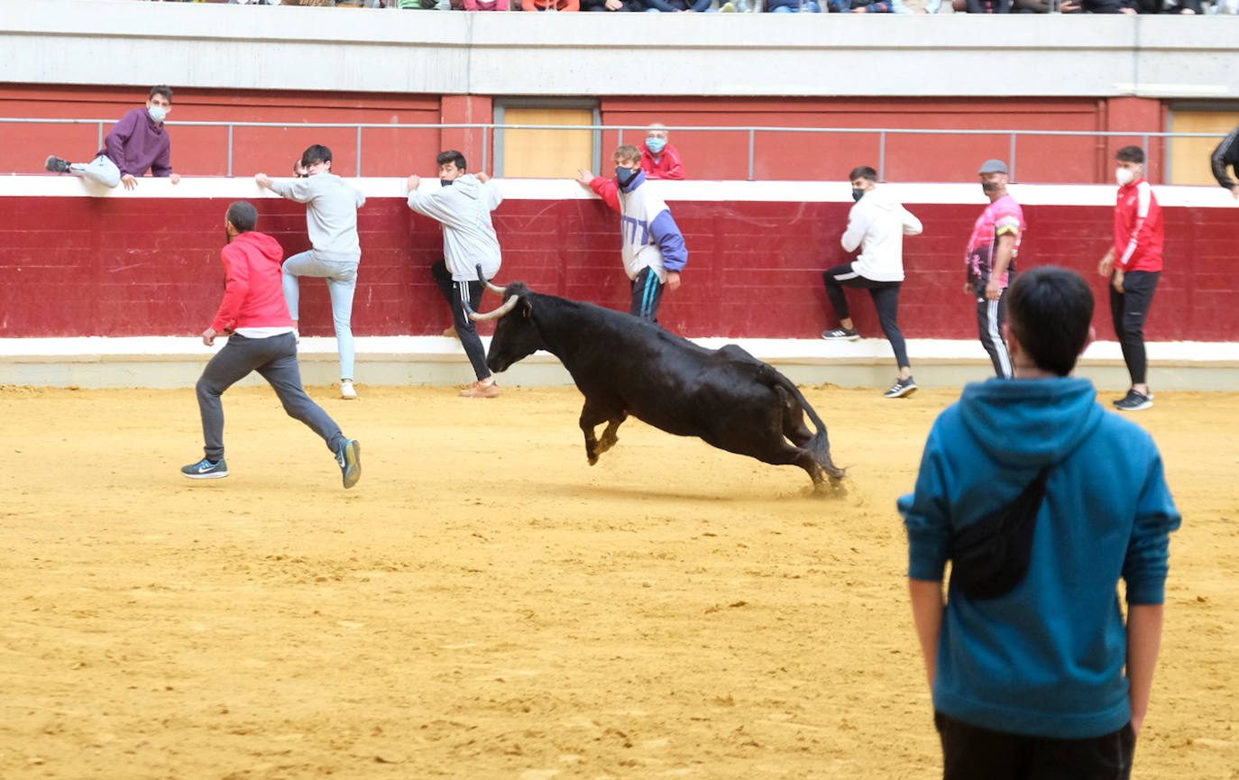 Fotos: Las vaquillas del martes en la Ribera