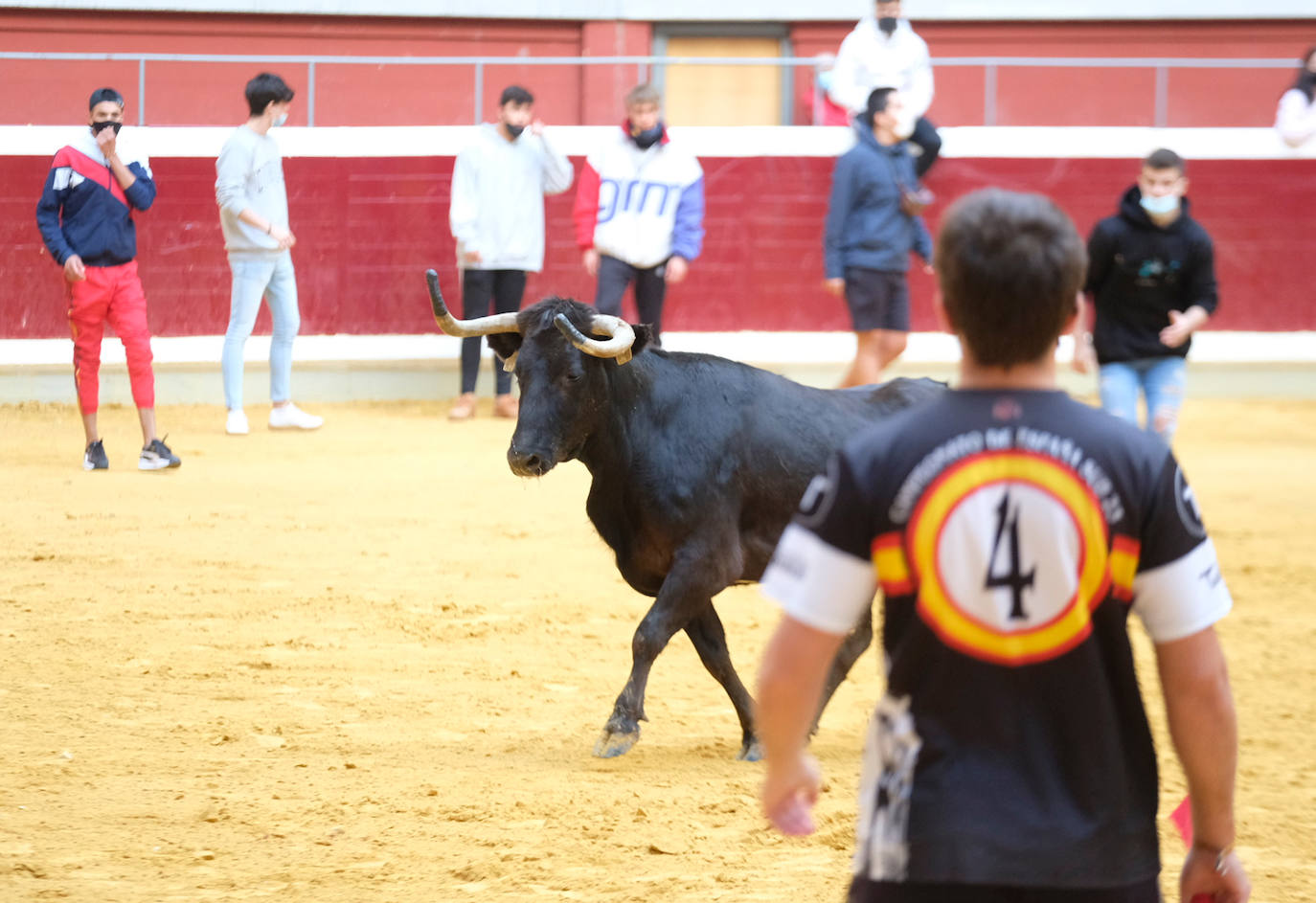 Fotos: Las vaquillas del martes en la Ribera