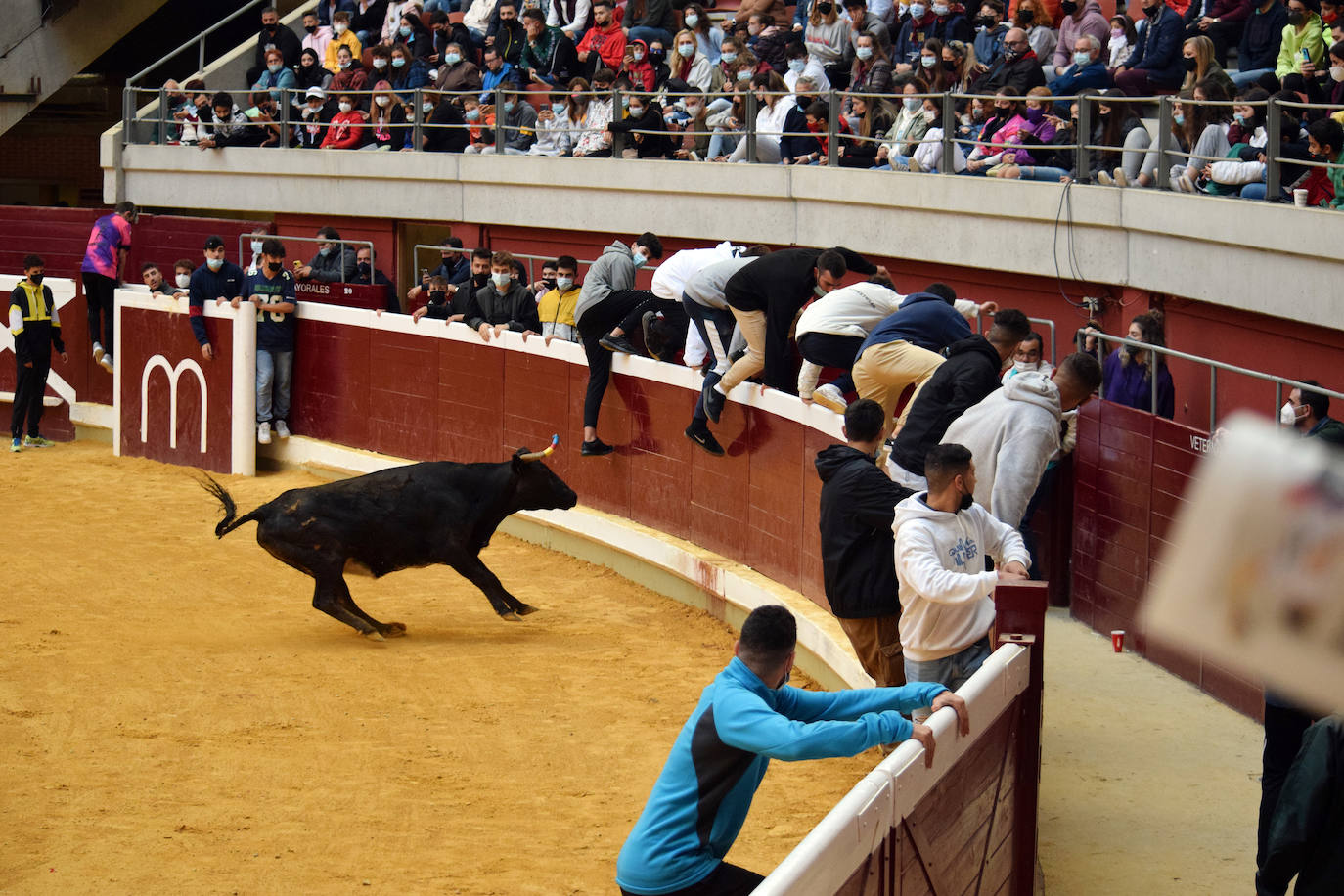 Fotos: Las vaquillas del miércoles en La Ribera