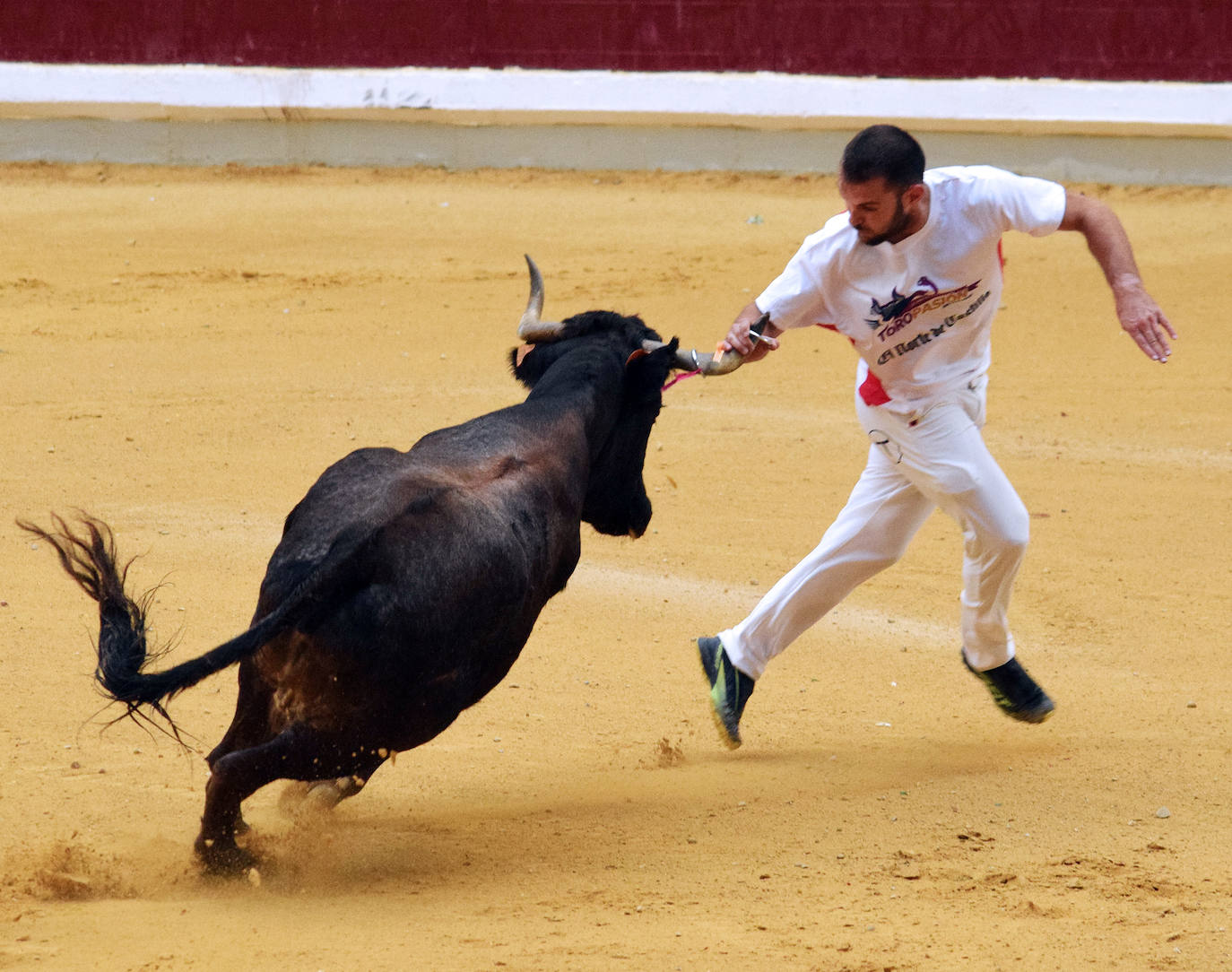 Fotos: Las vaquillas del miércoles en La Ribera