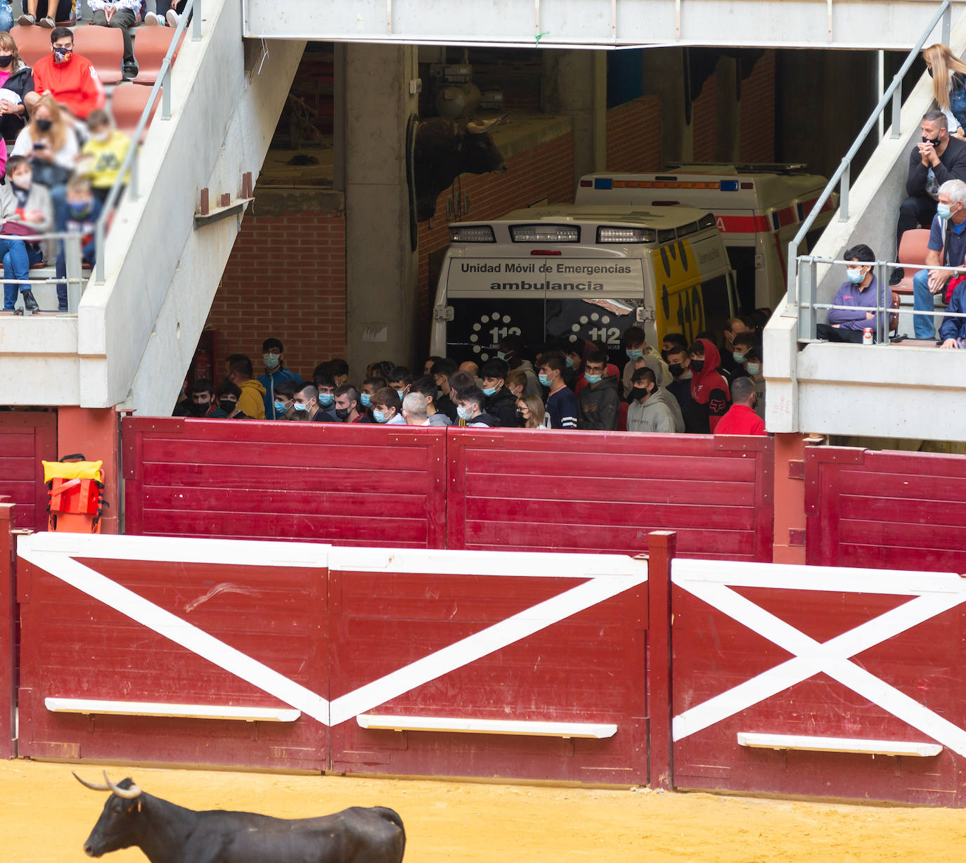 Fotos: Promesas de las acrobacias en La Ribera