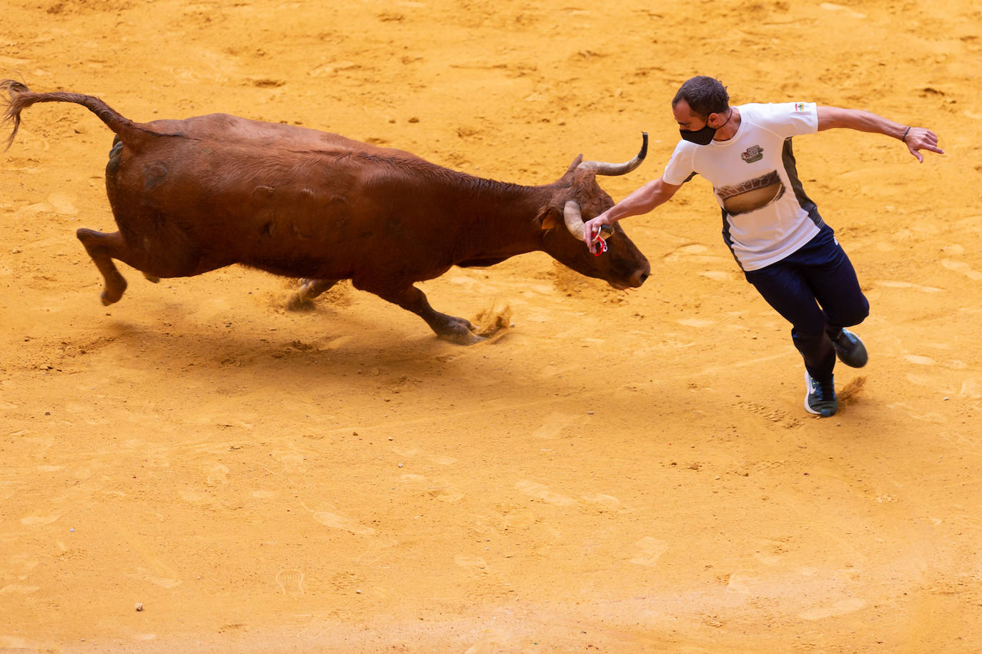 Fotos: Promesas de las acrobacias en La Ribera