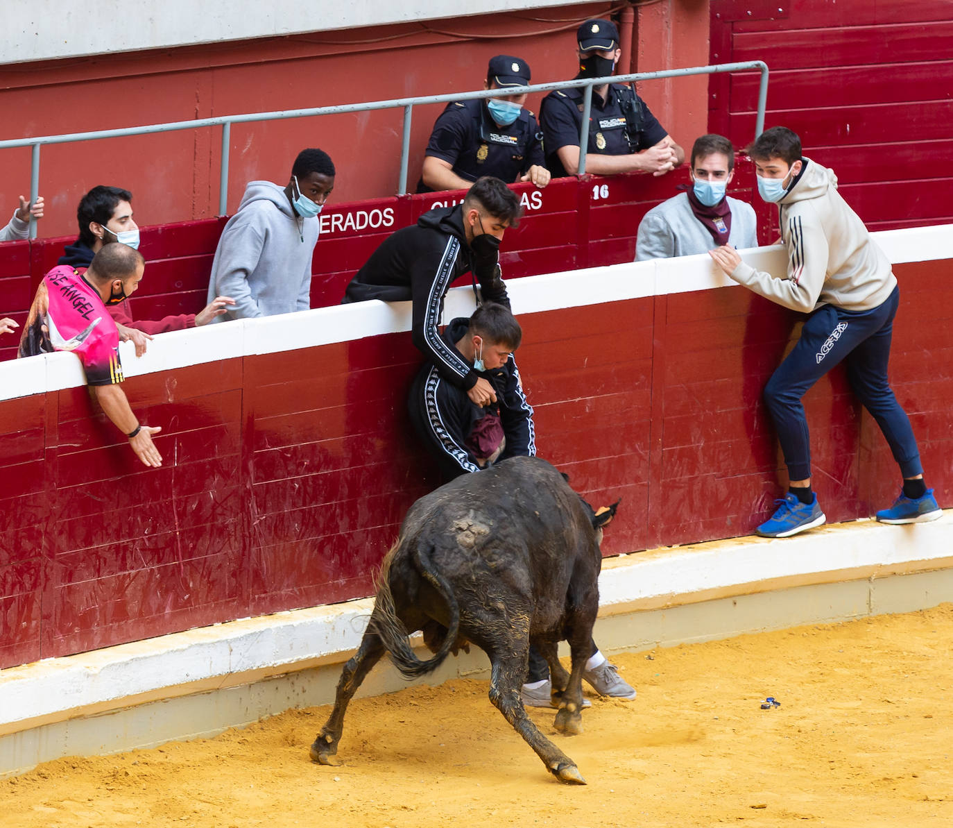 Fotos: Promesas de las acrobacias en La Ribera