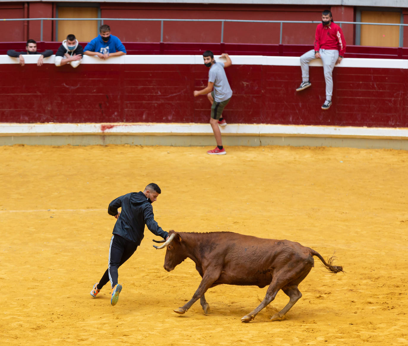 Fotos: Promesas de las acrobacias en La Ribera