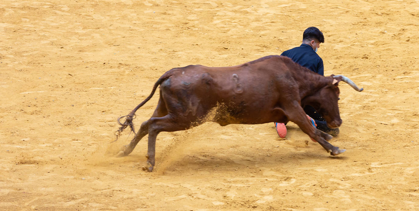 Fotos: Promesas de las acrobacias en La Ribera