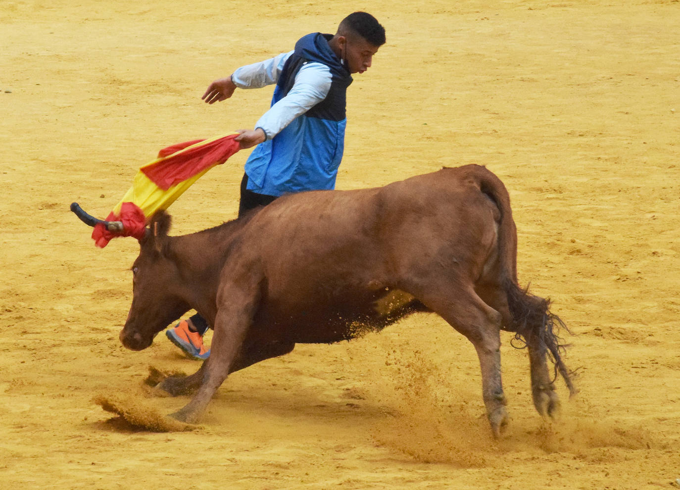 Fotos: Viernes de vaquillas en La Ribera