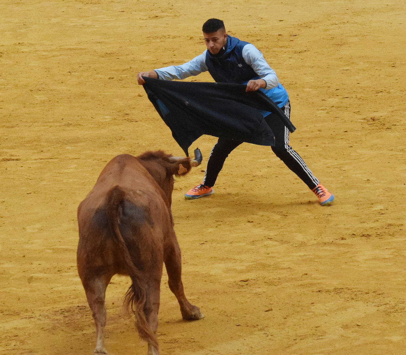 Fotos: Viernes de vaquillas en La Ribera