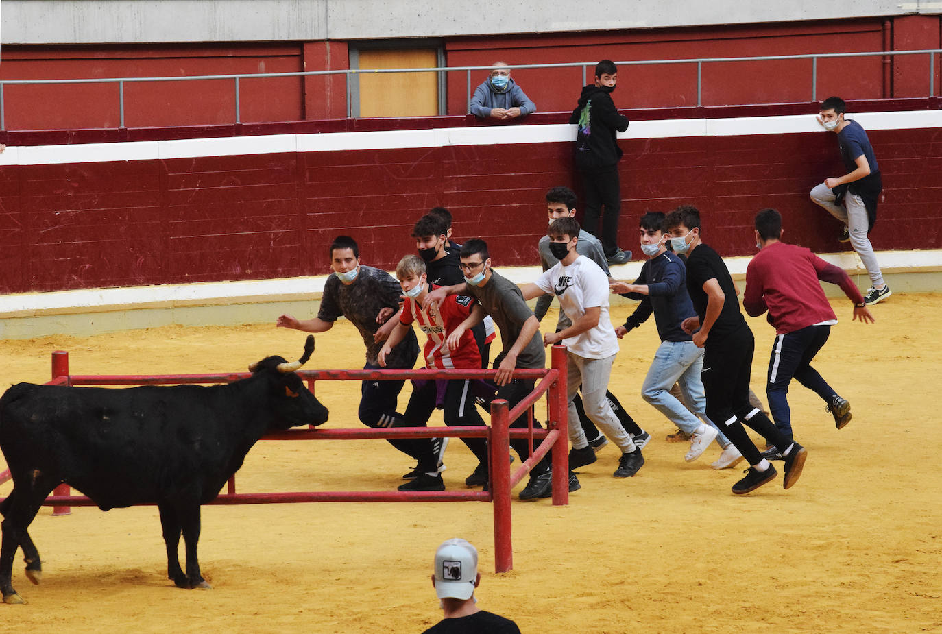 Fotos: Viernes de vaquillas en La Ribera