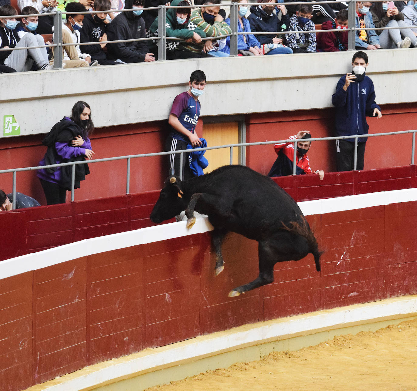 Fotos: Viernes de vaquillas en La Ribera