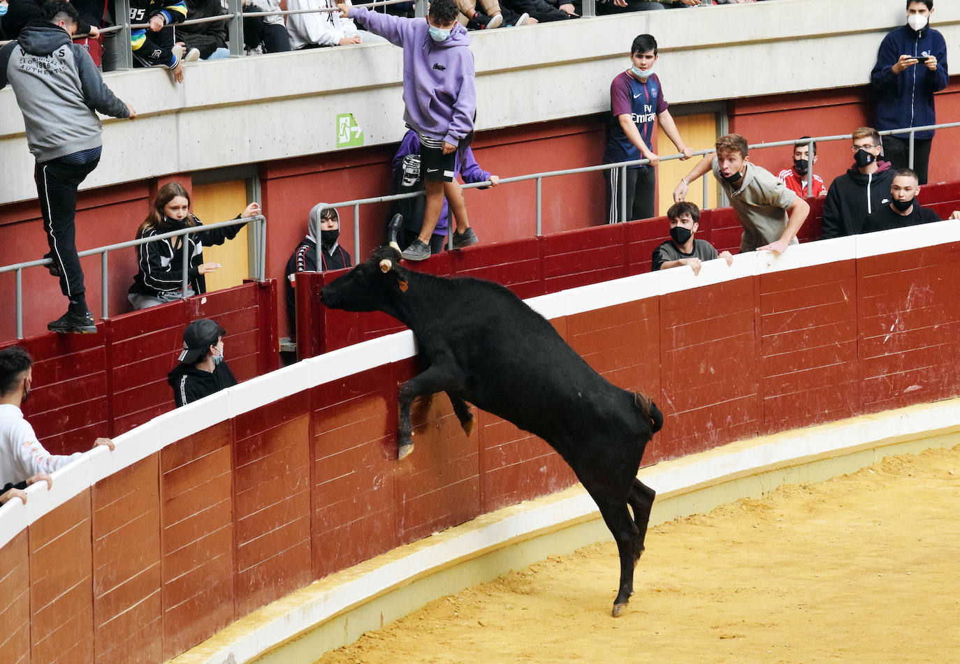 Fotos: Viernes de vaquillas en La Ribera