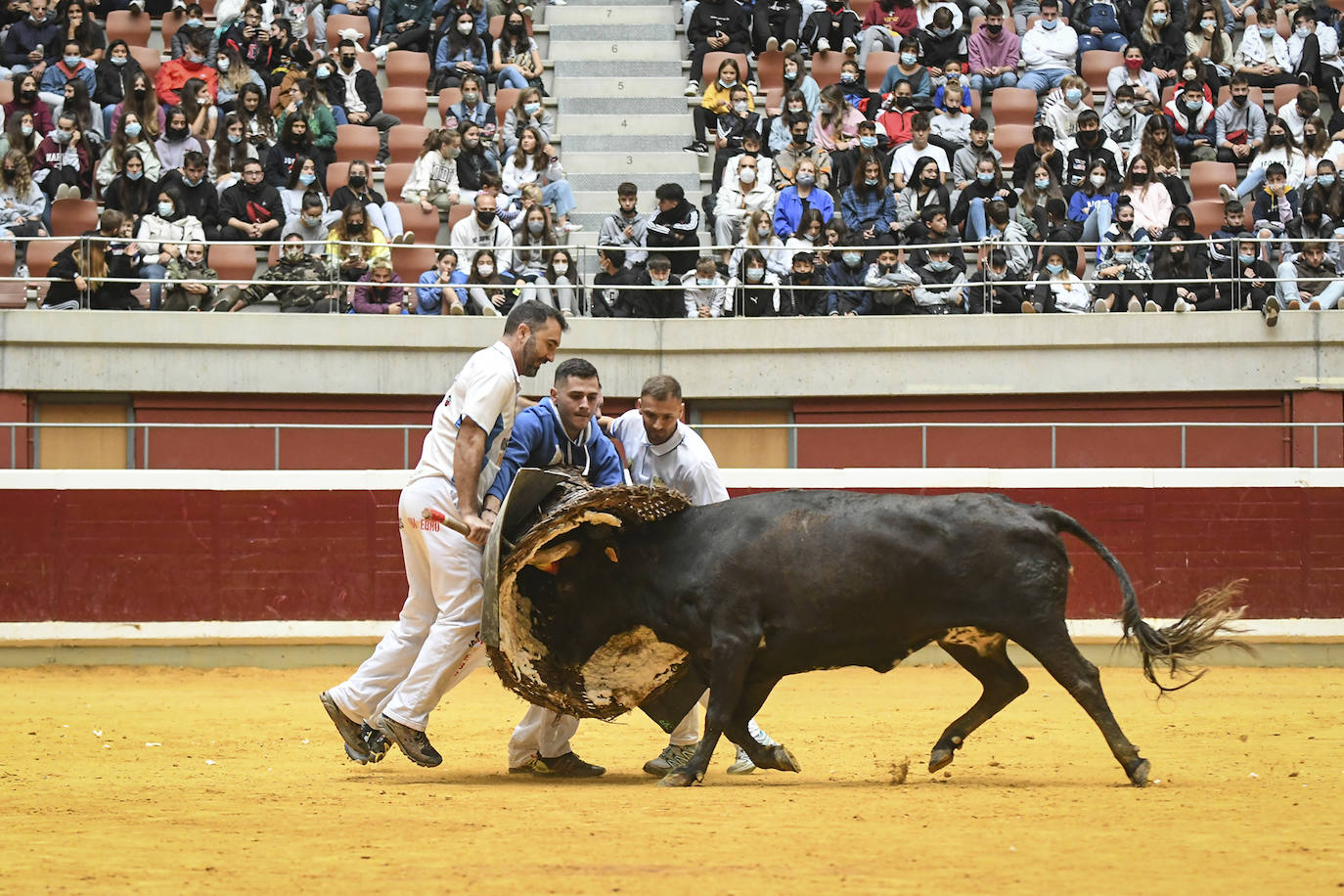 Espectáculo del roscadero en la mañana de este sábado en la plaza de toros La Ribera de Logroño.