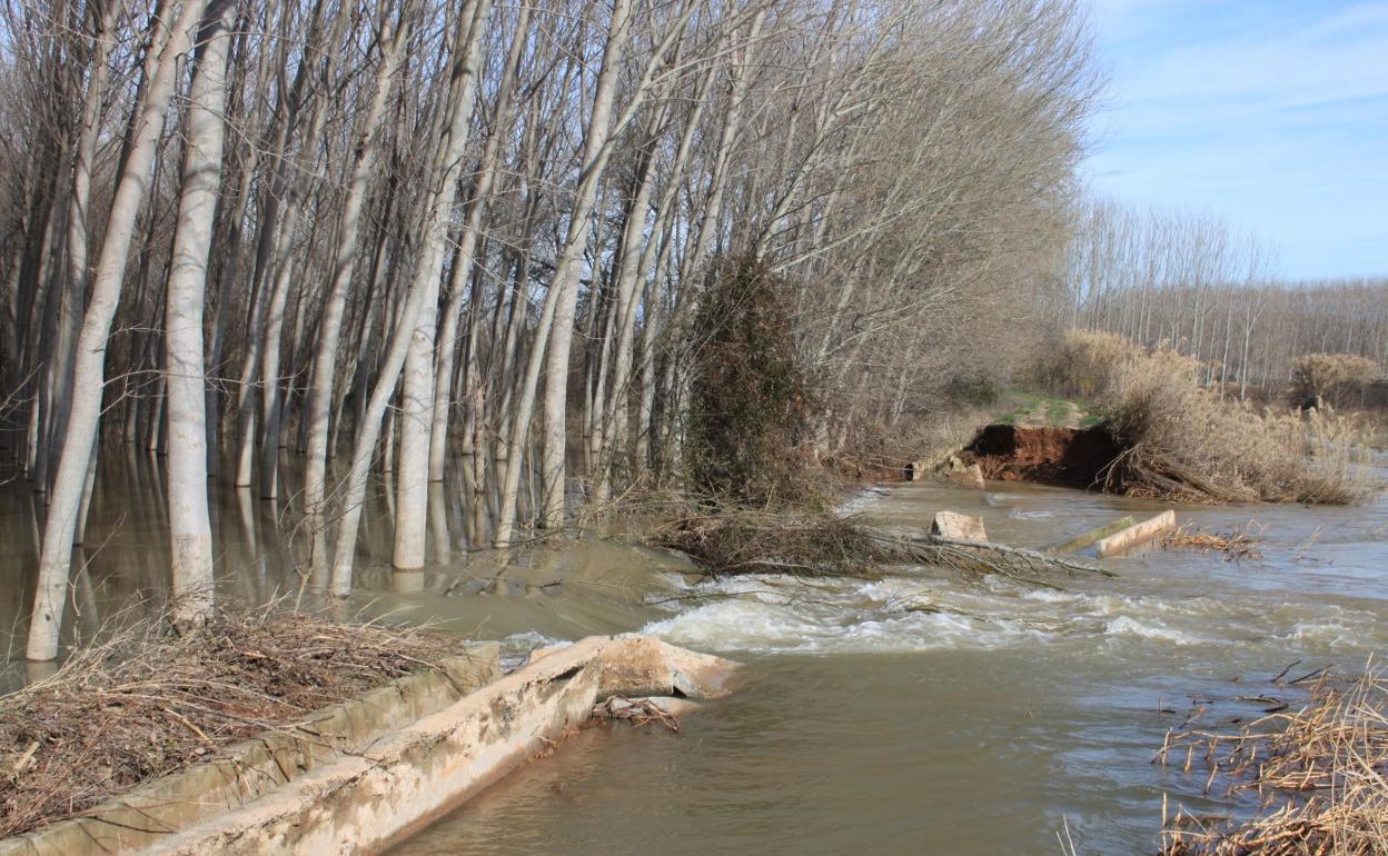 Imagen de archivo del 1 de marzo de 2015, cuando un episodio de varias crecidas rompió el mazón de La Roza e inundó decenas de fincas. 