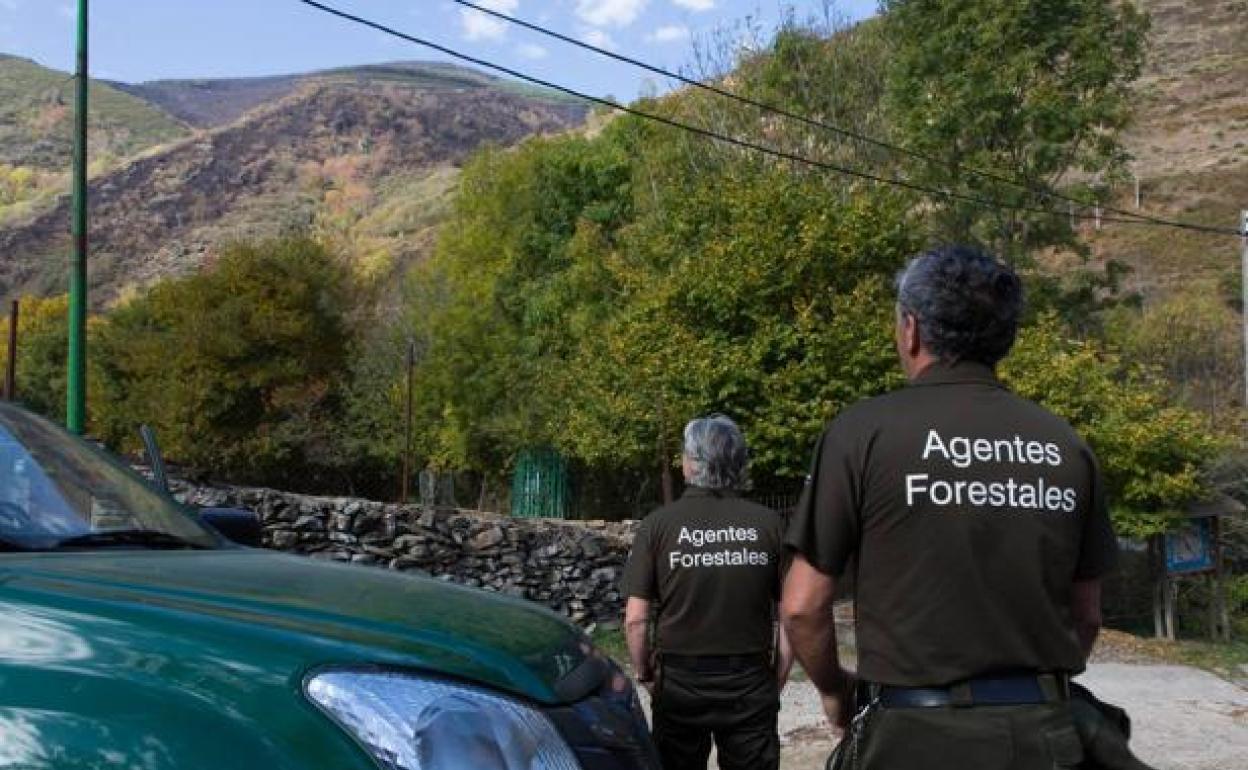 Agentes feorestales, en una imagen de archivo. 