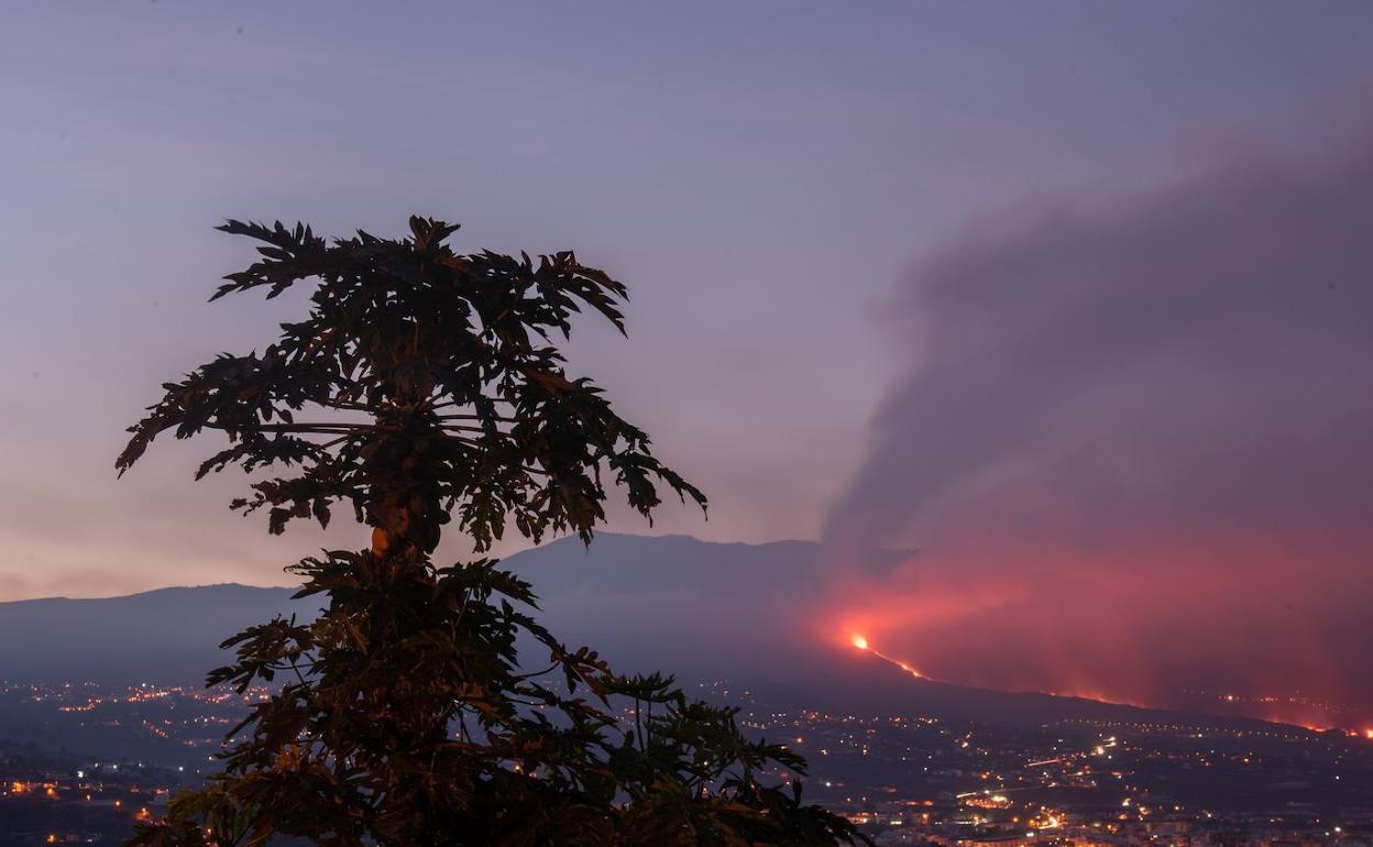 Parte de lava del volcán está transcurriendo por tubos volcánicos que desembocan en el mar. 