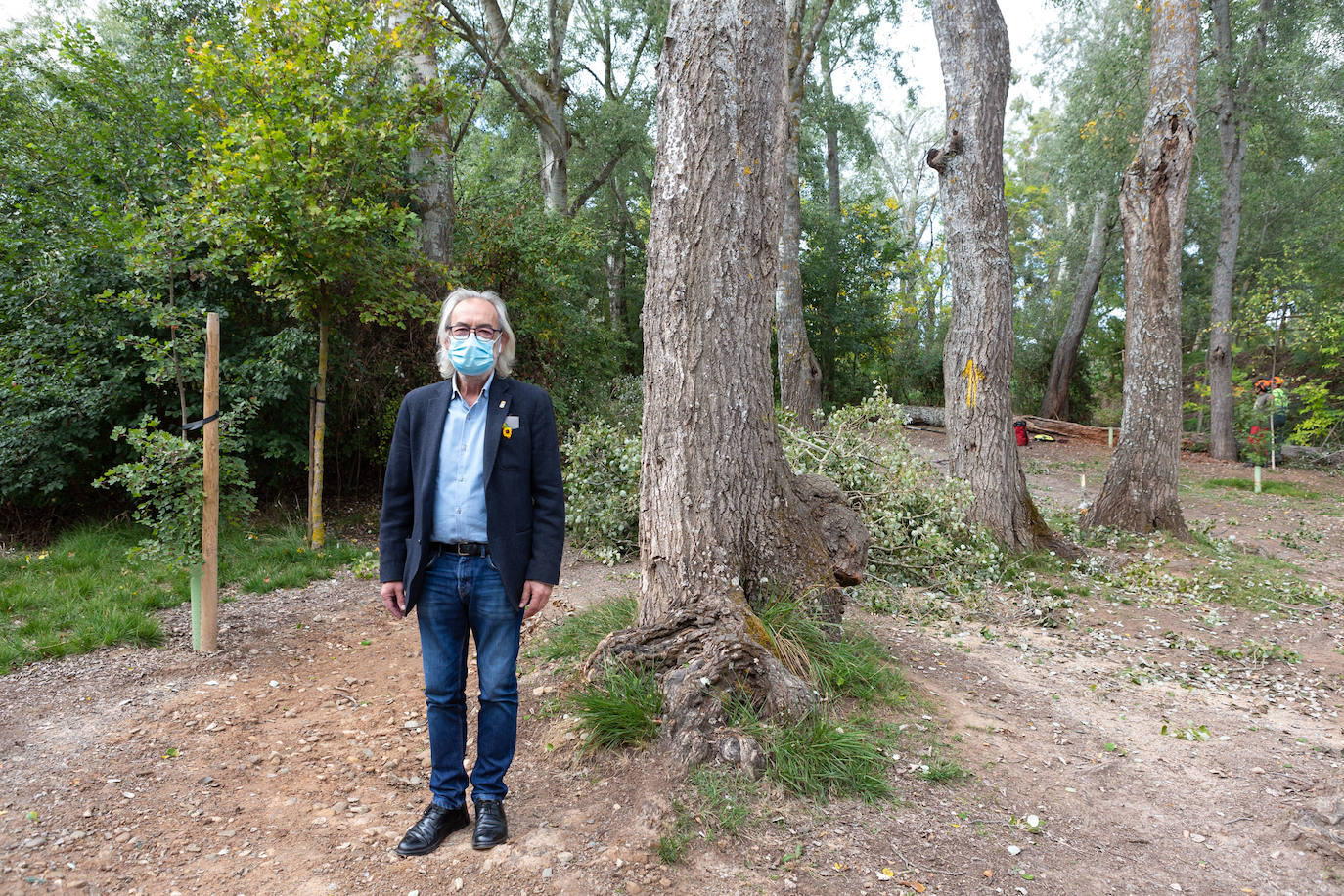 Logroño está saneando una zona arbórea de 1.600 metros cuadrados del parque de La Grajera, delimitada entre el área de asadores, el puente de madera, la pradera que rodea la zona de la cafetería y el Camino de Santiago