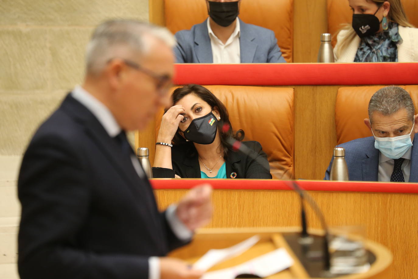 La cámara riojana celebró su sesión plenaria del mes de octubre.