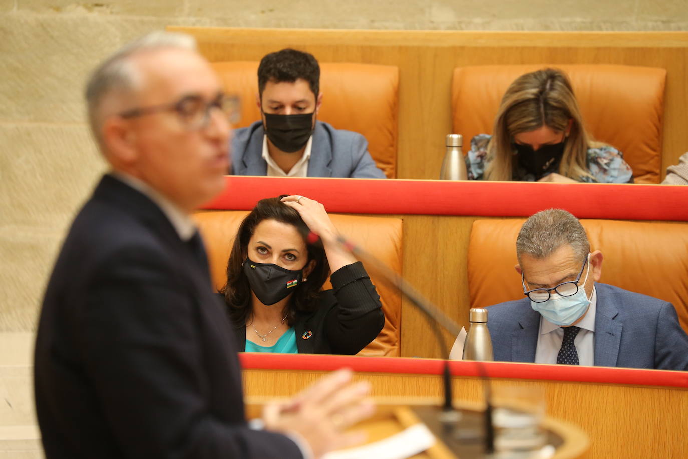 La cámara riojana celebró su sesión plenaria del mes de octubre.