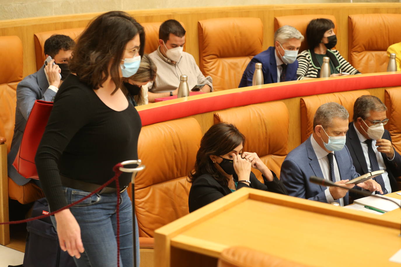 La cámara riojana celebró su sesión plenaria del mes de octubre.