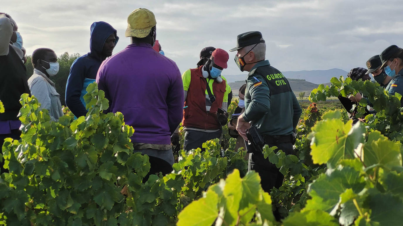 La Guardia Civil en La Rioja intensifica las actuaciones contra la explotación laboral y la trata de personas durante la vendimia.